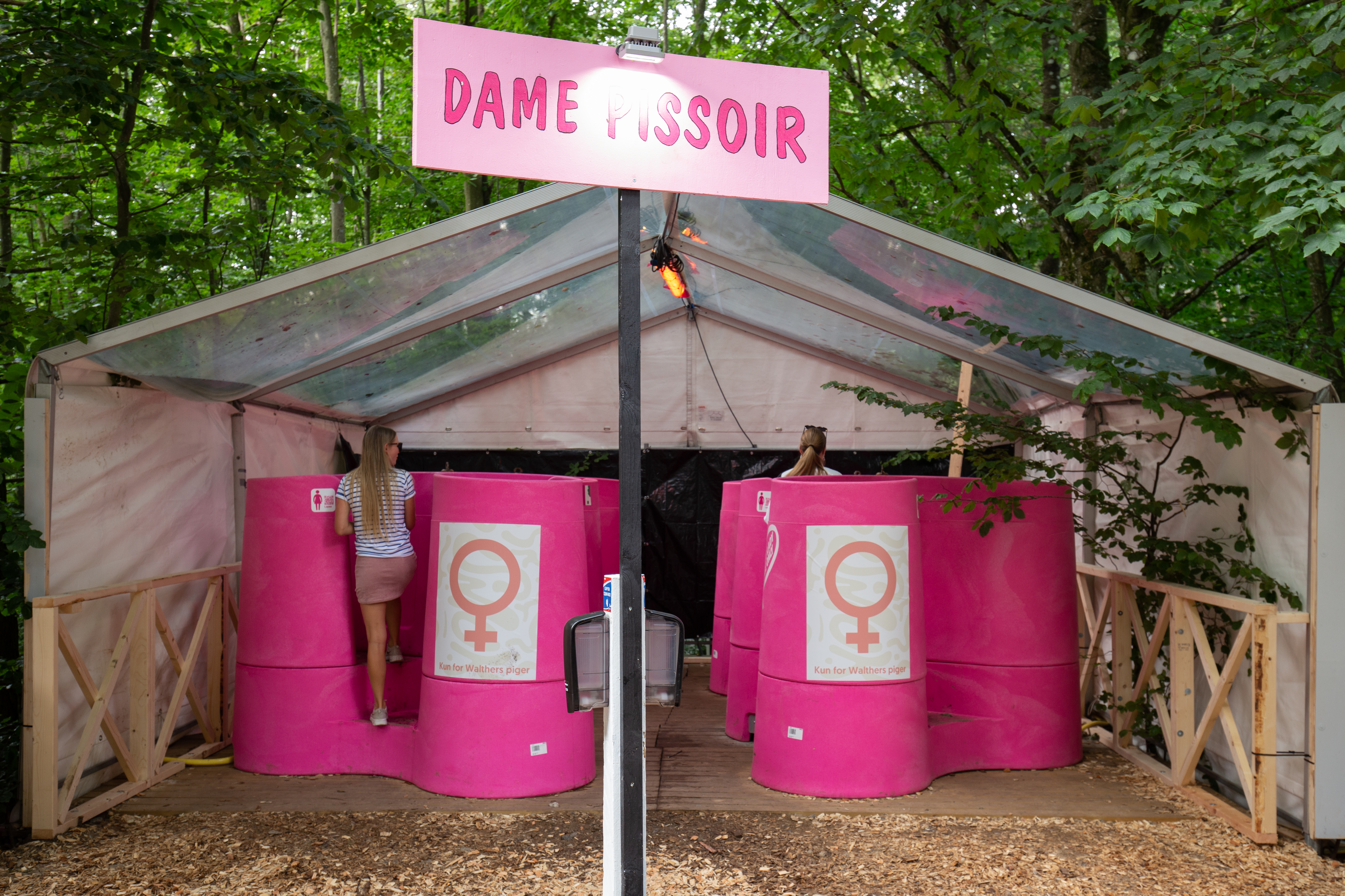 /media/6627/dame-pissoir_larsen-1-1.jpg